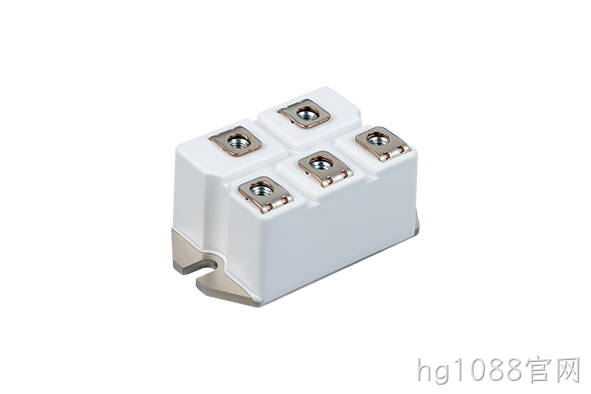 hg1088官网 Rectifier Bridge Module
